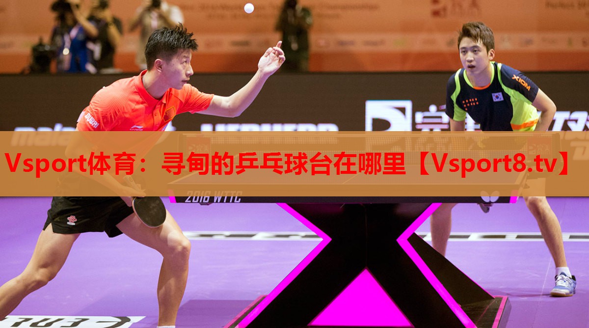 Vsport體育：尋甸的乒乓球臺(tái)在哪里