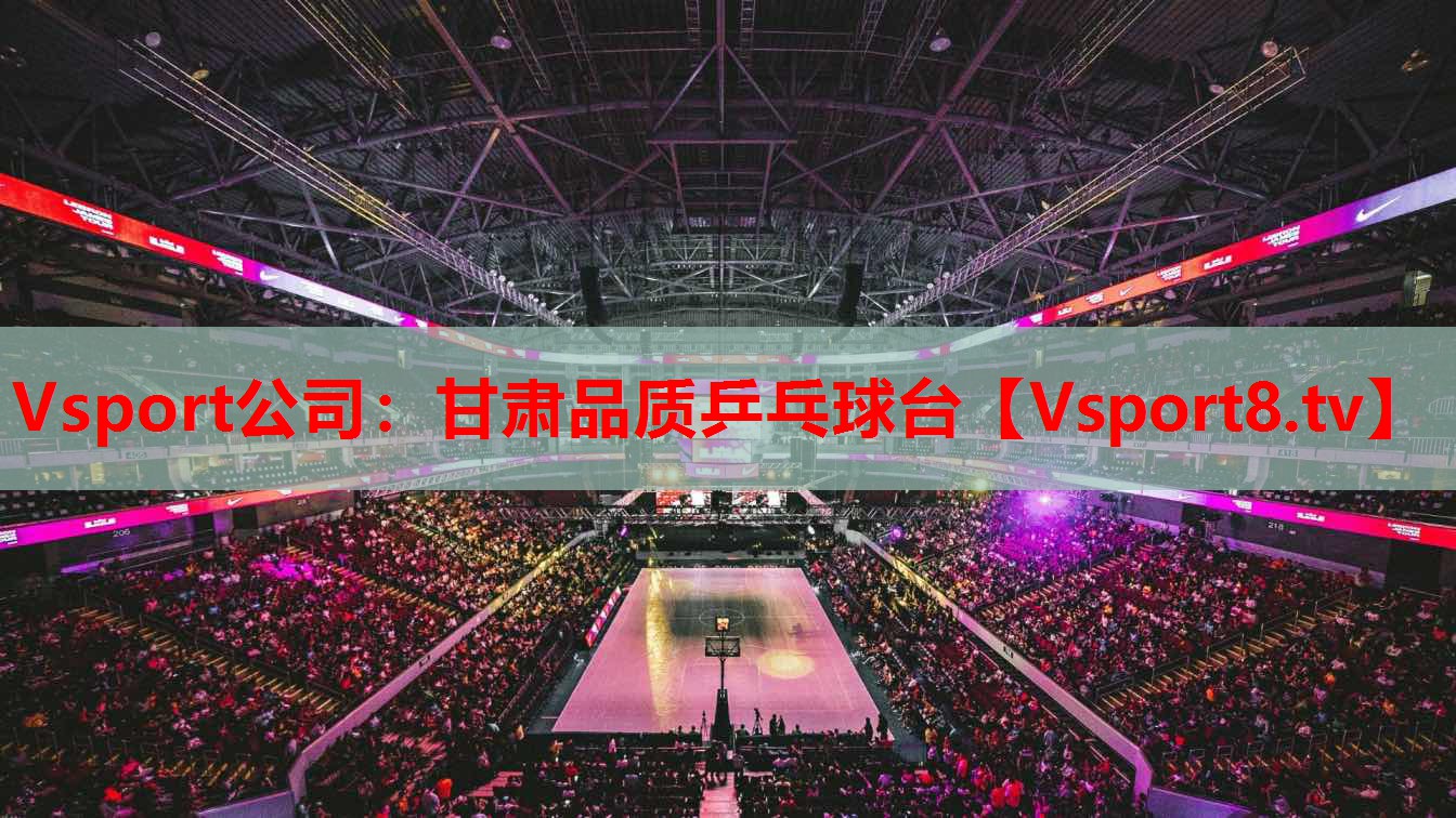 Vsport公司：甘肅品質(zhì)乒乓球臺(tái)
