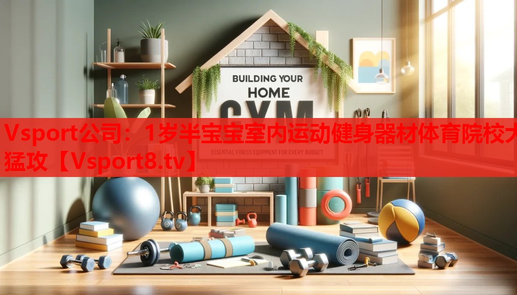 Vsport公司：1歲半寶寶室內(nèi)運(yùn)動健身器材體育院校大猛攻