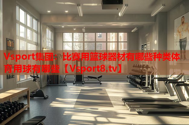 Vsport集團(tuán)：比賽用籃球器材有哪些種類(lèi)體育用球有哪些
