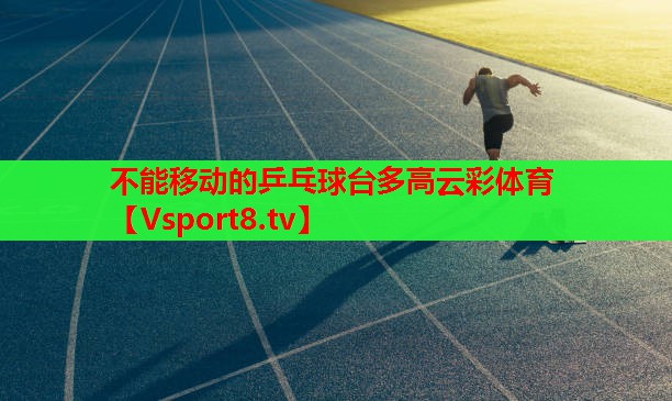 不能移動的乒乓球臺多高云彩體育