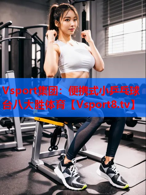 Vsport集團(tuán)：便攜式小乒乓球臺八大勝體育