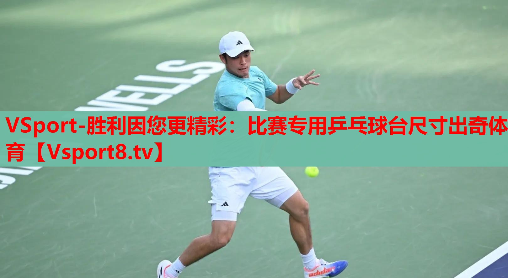 VSport-勝利因您更精彩：比賽專用乒乓球臺(tái)尺寸出奇體育