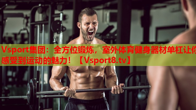 Vsport集團(tuán)：全方位鍛煉，室外體育健身器材單杠讓你感受到運(yùn)動(dòng)的魅力！