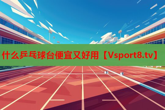 什么乒乓球臺便宜又好用