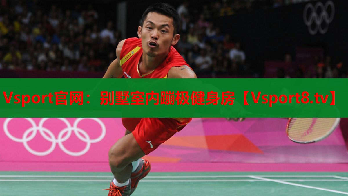 Vsport官網(wǎng)：別墅室內(nèi)蹦極健身房