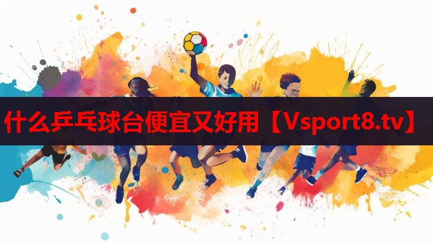 什么乒乓球臺便宜又好用